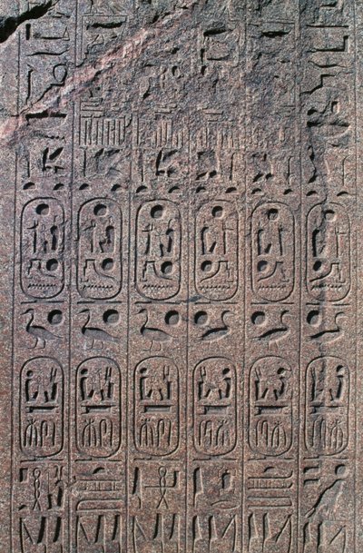 Blocco con rilievi e iscrizioni, Grande Tempio di Amon, Tanis, Egitto, Nuovo Regno, Dinastia XIX da Egyptian 19th Dynasty