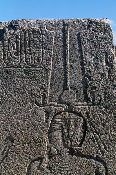 Blocco con rilievi e iscrizioni di Ramesse II, Grande Tempio di Amon, Tanis, Egitto, civiltà egizia, Nuovo Regno, Dinastia XIX da Egyptian 19th Dynasty