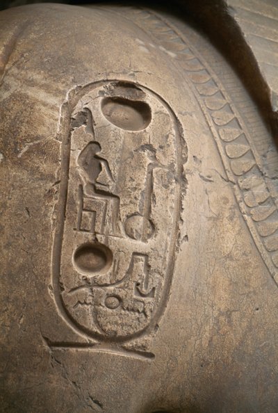 Cartiglio sul braccio, incisione dal Colosso di Ramses II, Menfi da Egyptian 19th Dynasty