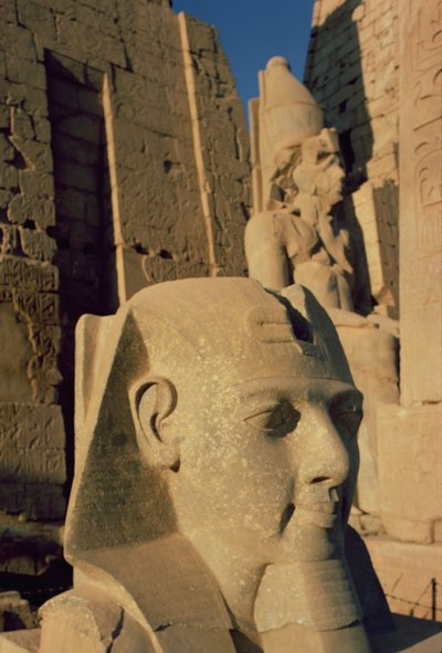 Testa colossale di Ramses II (1298-32 a.C.) Nuovo Regno da Egyptian 19th Dynasty