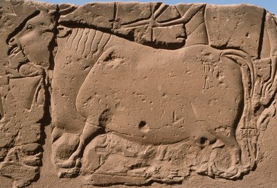 (dettaglio) da Egyptian 19th Dynasty