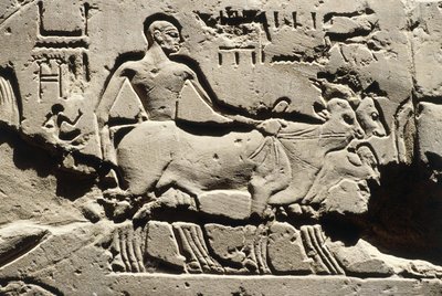 Antico Egitto, Luxor, Tempio di Luxor, Cortile di Ramses II, rilievo, Nuovo Regno, XIX Dinastia (1290-1224 a.C.) da Egyptian 19th Dynasty
