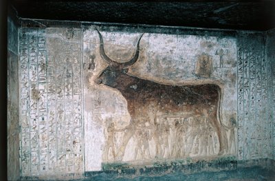 Egitto, Luxor, Valle dei Re, Tomba di Seti I, affreschi interni che raffigurano la dea Nut come mucca da Egyptian 19th Dynasty
