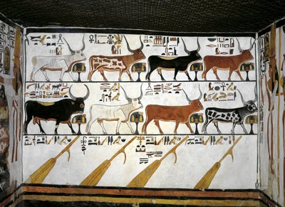 Egitto, Tebe, Luxor, Valle delle Regine, Tomba di Nefertari, Annesso all