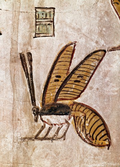 Arte egizia: Tomba di Seti I. Dettaglio dell