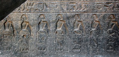 Antichità egizia: dettaglio di un rilievo che decora gli emblemi dei territori conquistati dal faraone Ramses II (1292-1186 a.C.). Tempio di Luxor. Riva Est (Tebe), Egitto da Egyptian 19th Dynasty