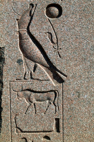 Geroglifico con il nome di Horus, Grande Tempio di Amon, Tanis, Egitto, Nuovo Regno, Dinastia XIX da Egyptian 19th Dynasty