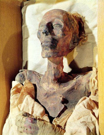Corpo mummificato di Ramesses II (1304-1237 a.C.) trovato in una tomba a Deir al-Bahri da Egyptian 19th Dynasty