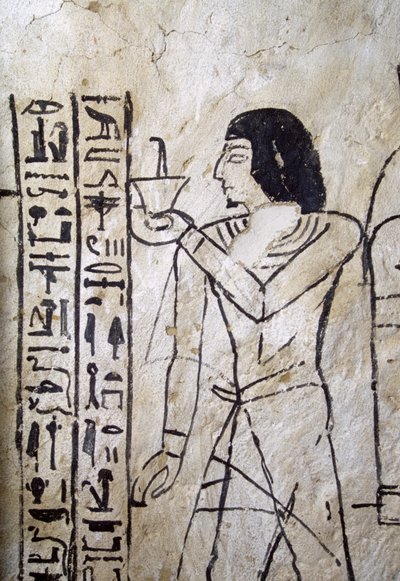 Immagine del libro dei morti, Tomba di Nakhtmin, Abusir, Egitto, civiltà egizia, Nuovo Regno, Dinastia XIX da Egyptian 19th Dynasty