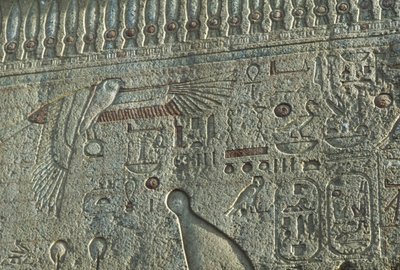 Rilievo, Tempio di Amon, Luxor, antica Tebe (Lista del Patrimonio Mondiale UNESCO) da Egyptian 19th Dynasty