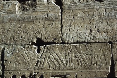 Rilievo, Tempio di Amon, Luxor, antica Tebe (Lista del Patrimonio Mondiale dell