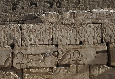 Rilievo, Tempio di Ramses II, Abydos, Egitto, civiltà egiziana, Nuovo Regno, Dinastia XIX da Egyptian 19th Dynasty