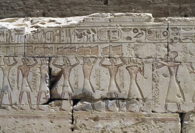 Rilievo, Tempio di Ramses II, Abydos, Egitto, Civiltà Egizia, Nuovo Regno, Dinastia XIX (foto) da Egyptian 19th Dynasty