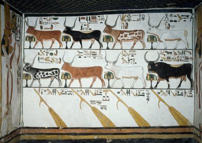Sette vacche celesti, toro marito e quattro remi, capitolo 148 del Libro dei Morti (dettaglio), affreschi nella seconda camera della Tomba di Nefertari, Valle delle Regine, Luxor, Tebe. Civiltà egizia, Nuovo Regno, Dinastia XIX da Egyptian 19th Dynasty