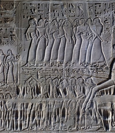 I prigionieri, dettaglio della scena che raffigura le campagne di Seti I in Siria e Palestina, rilievo, parete esterna nord della Grande Sala Ipostila, complesso del tempio di Karnak da Egyptian 19th Dynasty