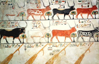 Le sette vacche celesti e il toro sacro e i quattro timoni del cielo, dalla Tomba di Nefertari, Nuovo Regno da Egyptian 19th Dynasty