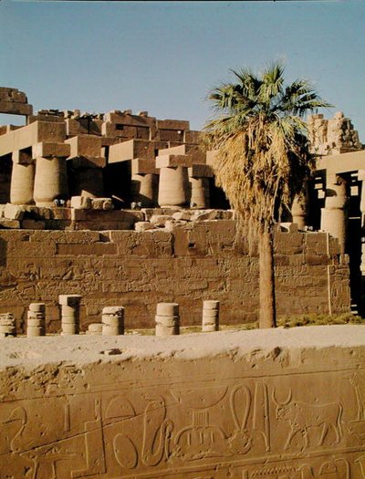 Muro di Ramses II e il Tempio di Tuthmosis da Egyptian 19th Dynasty