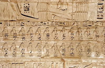 Antichità egizia: dettaglio dei rilievi del primo pilone che rappresentano gli emblemi delle città conquistate dal faraone Ramses III. Tempio funerario di Ramses III. Luxor, Medinet Habou, Egitto da Egyptian 20th Dynasty