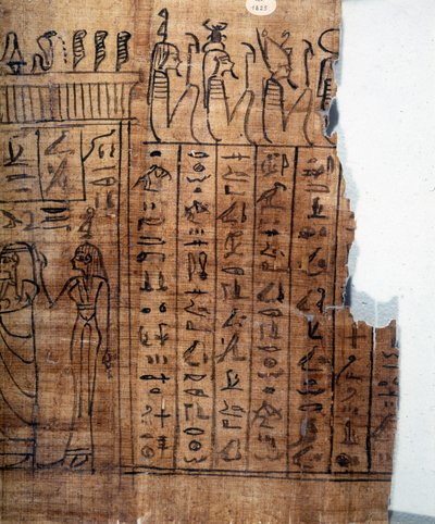 Il Libro dei Morti: geroglifico egiziano su un papiro della XXII dinastia. Dettaglio. IX secolo a.C. Torino, Museo Egizio. da Egyptian 22nd Dynasty