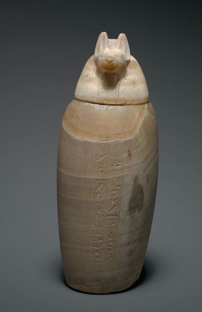 Vaso canopo con testa di sciacallo, 664-525 a.C. da Egyptian 26th Dynasty