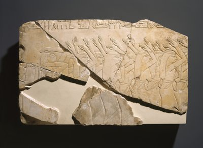 Rilievo dalla tomba di Nes-Peka-Shuty, Deir El-Bahri, Tebe, (dettaglio) da Egyptian 26th Dynasty