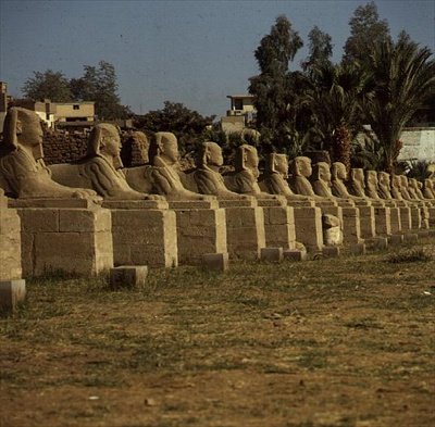 Viale di sfingi, aggiunto da Nectanebo I (380-362 a.C.) Periodo Tardo da Egyptian 30th Dynasty