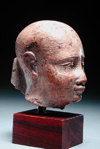 Testa maschile, c.350 a.C. (pietra calcarea) da Egyptian 30th Dynasty