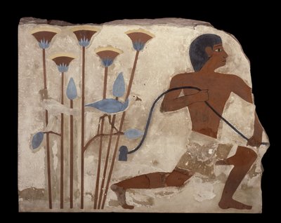 Caccia agli uccelli, rilievo dalla tomba di Nefermaat, Antico Regno, c.2620 a.C. da Egyptian 4th Dynasty