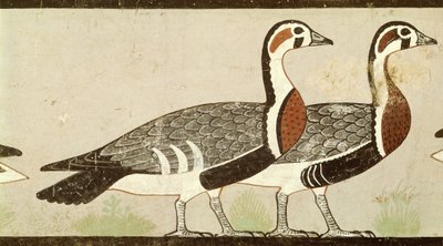 Oche di Meidum, dalla Tomba di Nefermaat e Atet, Antico Regno, c.2620 a.C. da Egyptian 4th Dynasty