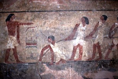 Pittura di pescatori che tirano le reti nella tomba di Khnumhotep II, Antico Regno, 2600-1500 a.C. da Egyptian 4th Dynasty