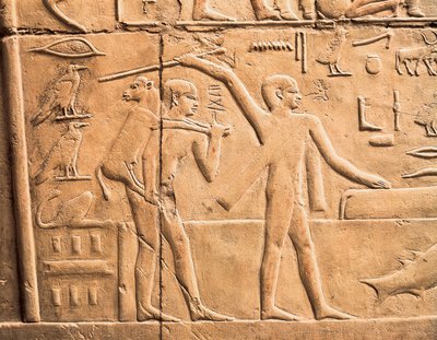 Scene di lavoro agricolo (dettaglio) da Egyptian 4th Dynasty