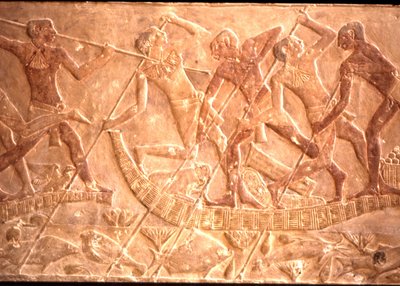 Uomini che pescano con la lancia da una barca di papiro, Tomba di Ptah-Hotep, V dinastia (foto) da Egyptian 5th Dynasty