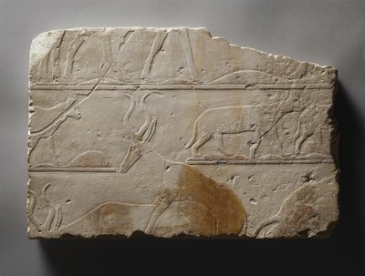 Rilievo con animali del deserto, Antico Regno, trovato a Saqqara, c.2472-2455 a.C. da Egyptian 5th Dynasty