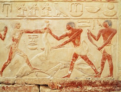 Macellai che macellano un bue, rilievo dalla tomba della principessa Idut, Antico Regno, c.2330 a.C. da Egyptian 6th Dynasty