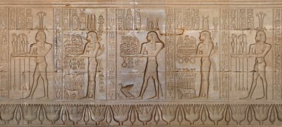 Antichità egiziane: processione di divinità - (dettaglio) della parete est del tempio della dea Hathor a Denderah, Egitto - Civiltà egizia: processione di divinità, scolpita sulla parete del Tempio di Hathor (o Tempio di Tentyra) a Denderah, costruito sott da Egyptian 6th Dynasty