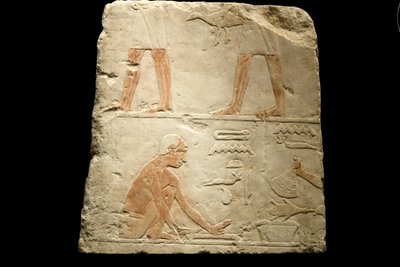 Frammento di un rilievo che raffigura la preparazione del cibo (calcare) da Egyptian 6th Dynasty