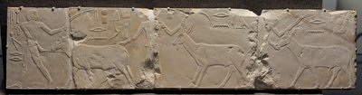 Rilievo di uomini che portano animali del deserto, c.2311-2281 a.C. da Egyptian 6th Dynasty