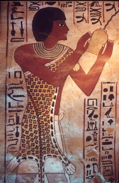 Antico Egitto, Tomba di Sennufer, Tebe, Luxor, dipinto murale, affresco, murale, il figlio di Sennufer che presiede al banchetto funebre, indossando una veste di pelle di leopardo da Egyptian Egyptian