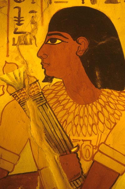 Antico Egitto, Tomba di Sennufer, dipinto murale, affresco, Sennufer che riceve boccioli di loto, Sindaco di Tebe, sovrintendente sotto Amenofi II da Egyptian Egyptian