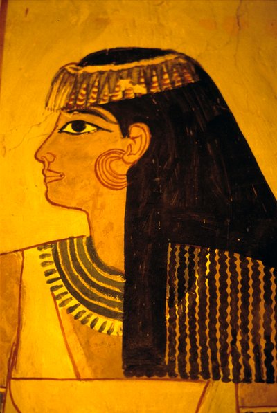 Antico Egitto, Pittura murale, Tomba di Sennufer, Tomba dei Nobili, Tebe da Egyptian Egyptian