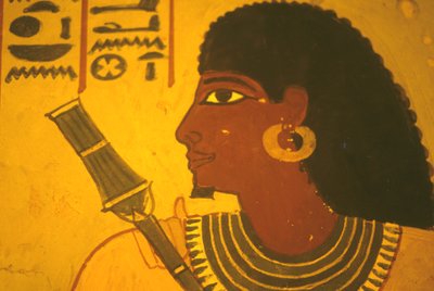 Antico Egitto, dipinto murale, Tomba di Sennufer, Tebe/Luxor, Sennufer con scettro, Sindaco di Tebe, sovrintendente sotto Amenofi II da Egyptian Egyptian