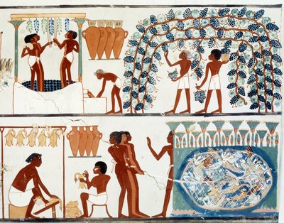 Arte egizia: raccolta e pigiatura dell