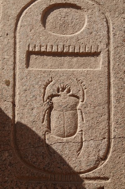 Scarabeo, emblema del potere reale, sito di Karnak da Egyptian Egyptian