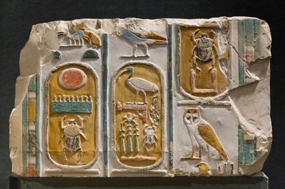 Parete scolpita che rappresenta tre cartigli del re Thutmosis I e III da Egyptian Egyptian