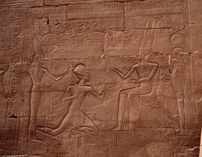 Antichità egiziane: rilievo che decora le pareti del tempio di Karnak, Egitto da Egyptian Egyptian
