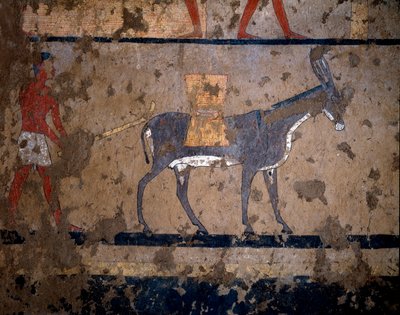 Antichità egizia: il trasporto del grano sul dorso di un mulo da Egyptian Egyptian