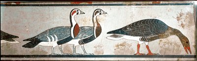 Oche, (dettaglio) da Egyptian Egyptian