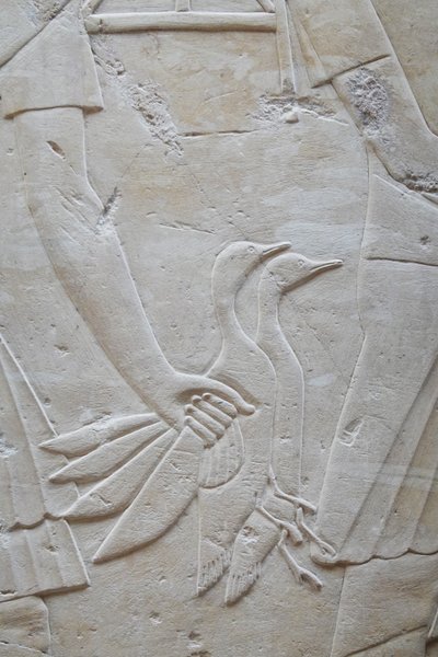 Mano che tiene 2 oche per le ali, tomba di Ramose da Egyptian Egyptian