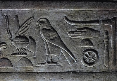 Geroglifici, Ape del Faraone e il Falco di Horus, Tempio di Horus, Edfu da Egyptian Egyptian