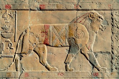 Leone, Senenmut, Tempio di Hatshepsut, Dayr al-Bahri, Egitto da Egyptian Egyptian